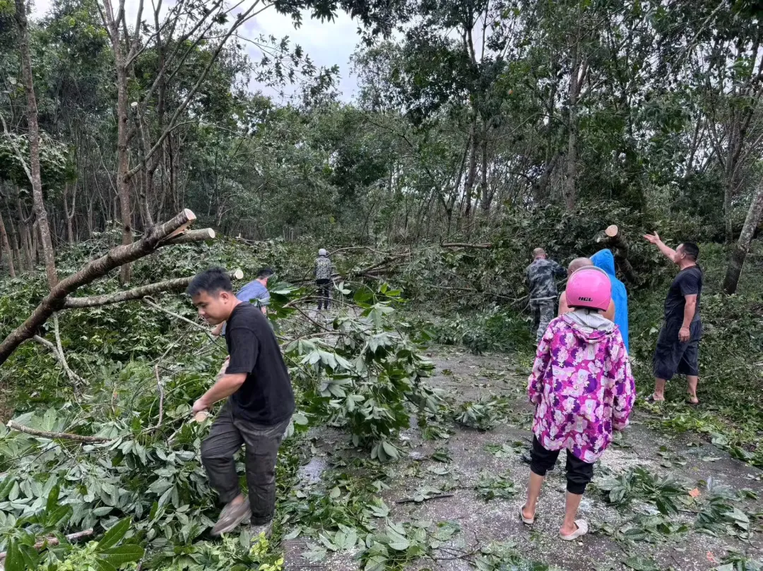 1725865027001079345.jpg 1725865027001079345.jpg