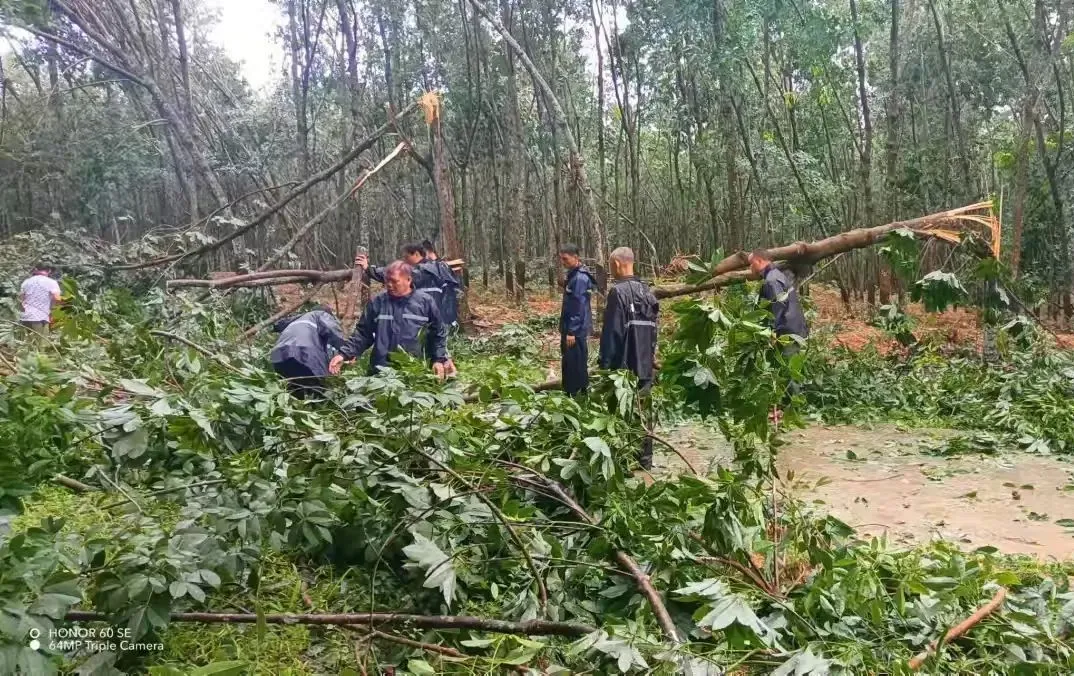 1725865102373089971.jpg 1725865102373089971.jpg