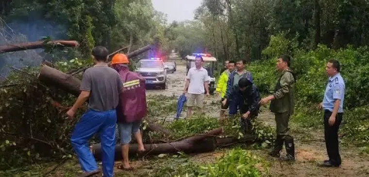 1725865158923008309.jpg 1725865158923008309.jpg