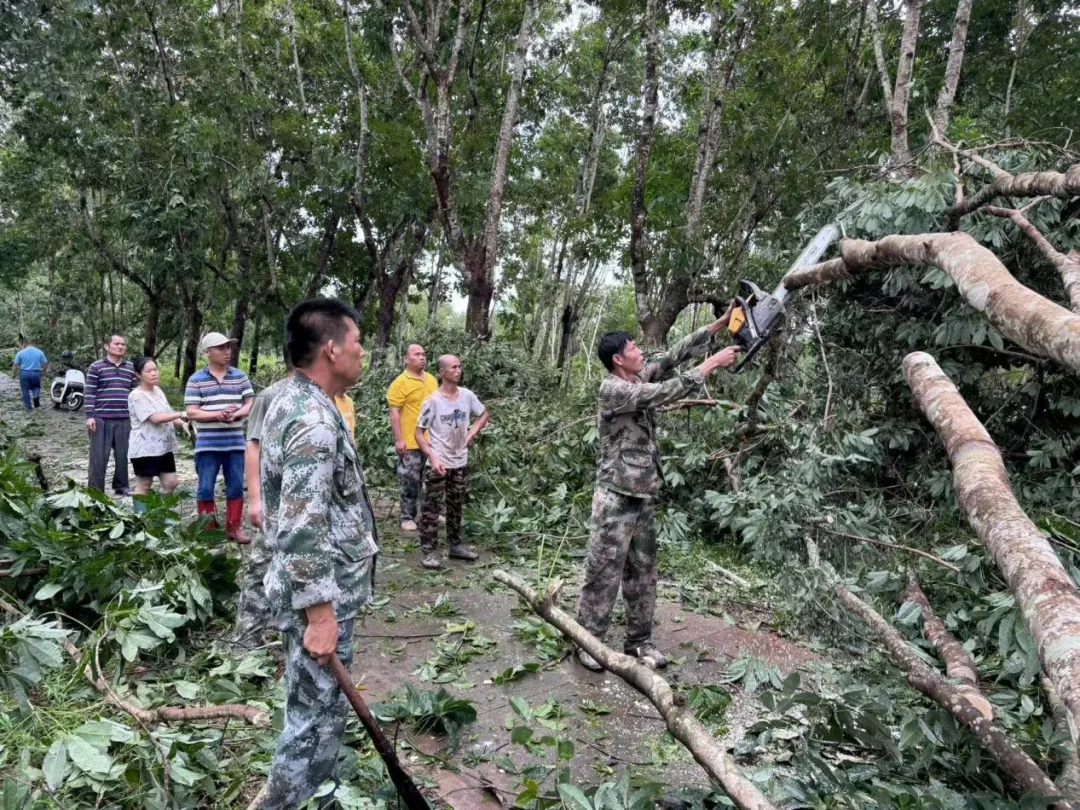 1726059253292063376.jpg 1726059253292063376.jpg