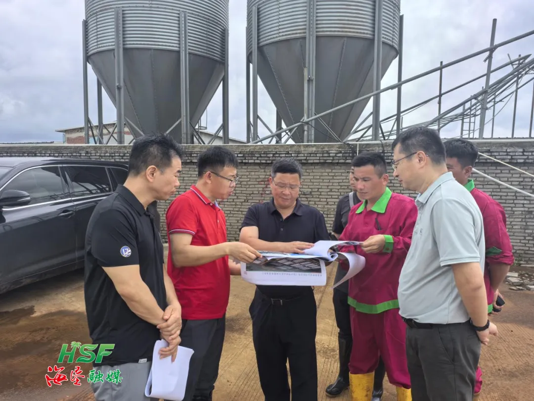 1726284587839079028.jpg 1726284587839079028.jpg