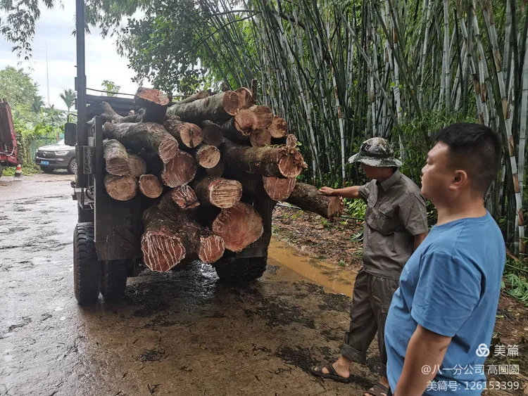 1726285544095040194.jpg 1726285544095040194.jpg