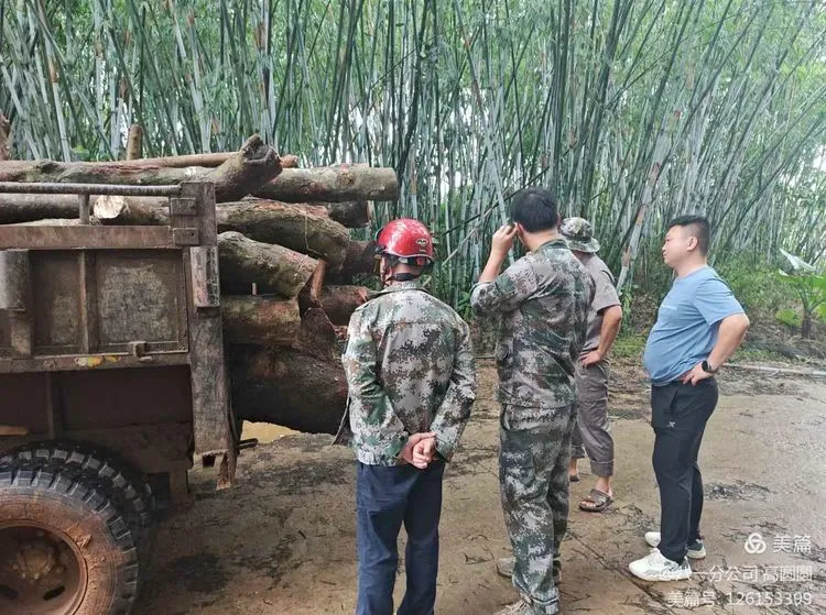 1726285576726026770.jpg 1726285576726026770.jpg