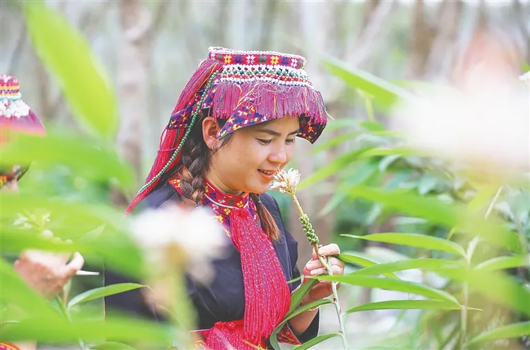 1733300332763060030.jpg 1733300332763060030.jpg